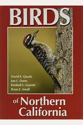 Birds Of Northern California