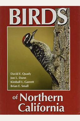 Birds Of Northern California Birds Of Northern California
