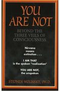 You Are Not: Beyond The Three Veils Of Consciousness