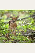 Lost In The Woods: The Soundtrack & Read-Along