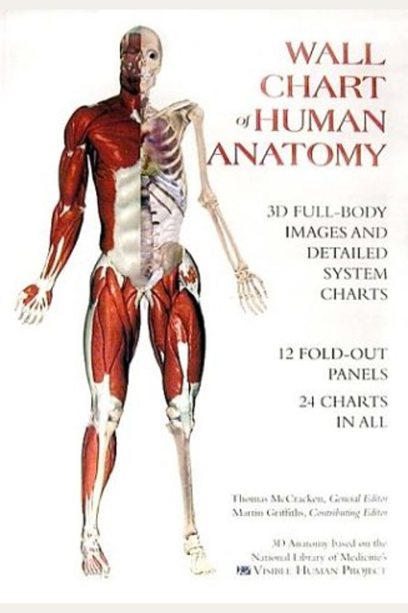 Buy Wall Chart Of Human Anatomy Book By Thomas O Mccracken
