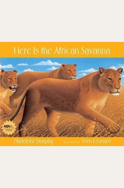 Here Is The African Savanna Here Is The African Savanna