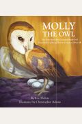 Molly The Owl: The True Story Of A Common Barn Owl That Ends Up Being Not So Common After All