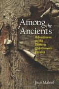 Among The Ancients: Adventures In The Eastern Old-Growth Forests