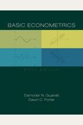 Basic Econometrics (Irwin Economics)