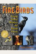 Fire Birds: Valuing Natural Wildfires and Burned Forests