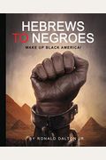 Hebrews To Negroes: Wake Up Black America!