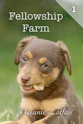Fellowship Farm 1: Books 1-3