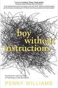 Boy Without Instructions: Surviving The Learning Curve Of Parenting A Child With Adhd
