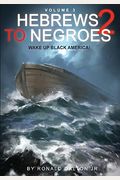 Hebrews To Negroes 2 Volume 3: Wake Up Black America