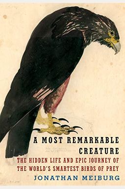 A Most Remarkable Creature: The Hidden Life Of The World's Smartest Birds Of Prey A Most Remarkable Creature: The Hidden Life Of The World's Smartest Birds Of Prey