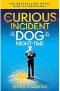 The Curious Incident Of The Dog In The Night-Time: The Play