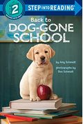 Back To Dog-Gone School