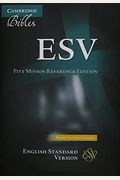 Esv Pitt Minion Reference Edition Brown Calf Split Leather Es444: X