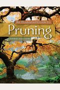 An Illustrated Guide To Pruning