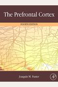 The Prefrontal Cortex, Fourth Edition
