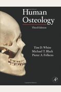 Human Osteology
