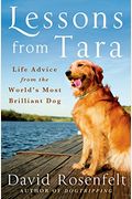 Lessons From Tara: Life Advice From The World's Most Brilliant Dog