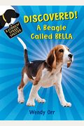 Discovered! a Beagle Called Bella