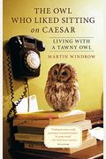 The Owl Who Liked Sitting On Caesar: Living With A Tawny Owl