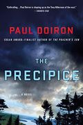 The Precipice: A Novel (Mike Bowditch Mysteries)