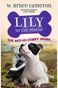 Lily To The Rescue: The Not-So-Stinky Skunk (Lily To The Rescue!, 3)
