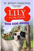 Lily To The Rescue: Dog Dog Goose (Lily To The Rescue!, 4)