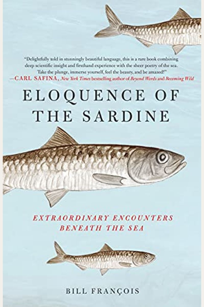 Eloquence Of The Sardine: Extraordinary Encounters Beneath The Sea