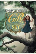 The Girl Who Fell Out Of The Sky