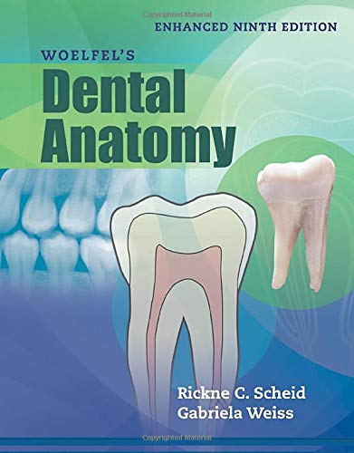 Buy Woelfel's Dental Anatomy, Enhanced Edition Book By: Rickne C Scheid