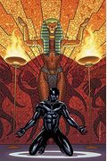 Black Panther Book 4: Avengers Of The New World Book 1