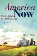 America Now: Short Essays On Current Issues