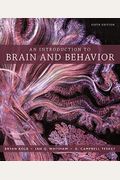An Introduction To Brain And Behavior