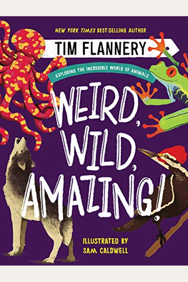 Weird, Wild, Amazing!: Exploring The Incredible World Of Animals