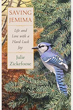 Saving Jemima: Life And Love With A Hard-Luck Jay Saving Jemima: Life And Love With A Hard-Luck Jay