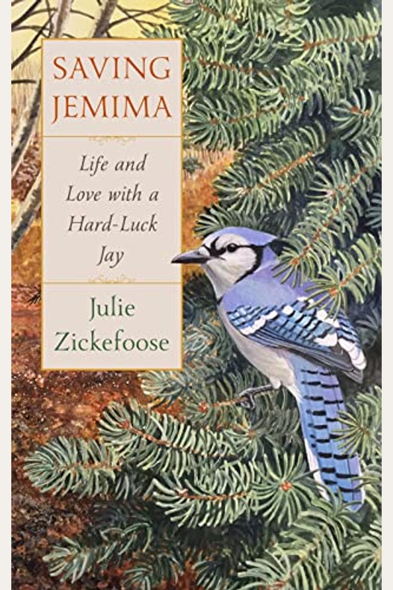 Saving Jemima: Life And Love With A Hard-Luck Jay