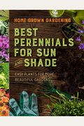 Best Perennials for Sun and Shade