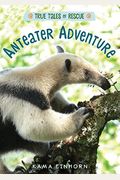 Anteater Adventure