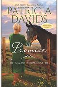 The Promise: A Clean & Wholesome Romance