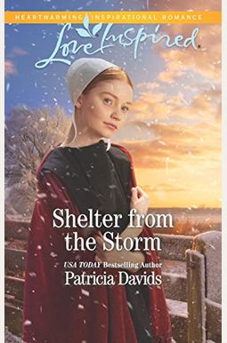 Shelter From The Storm Shelter From The Storm