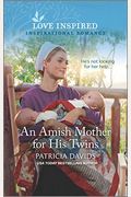 An Amish Mother For His Twins