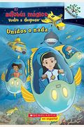 Unidos O Nada: Explora Bancos De Peces (El Autobus MáGico Vuelve A Despegar): Volume 1