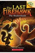 The Shadowlands: A Branches Book (The Last Firehawk #5): Volume 5