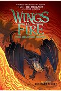 The Dark Secret (Wings Of Fire Graphic Novel #4): A Graphix Book (4)
