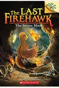The Secret Maze: A Branches Book (The Last Firehawk #10): Volume 10
