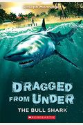 The Bull Shark (Dragged From Under #1): Volume 1