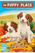 Zig & Zag (the Puppy Place #64)