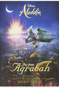Aladdin: Far From Agrabah
