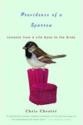 Providence Of A Sparrow: Lessons From A Life Gone To The Birds