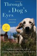 Through a Dog's Eyes: Understanding Our Dogs by Understanding How They See the World